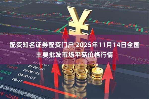配资知名证券配资门户 2025年11月14日全国主要批发市场平菇价格行情